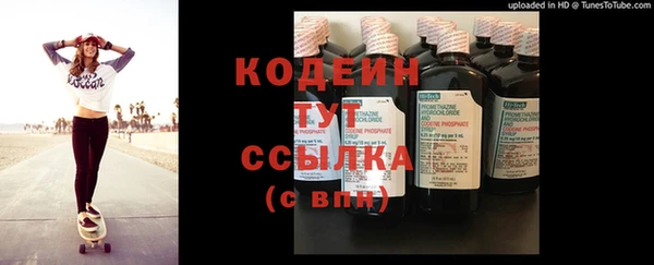 шишки Медвежьегорск