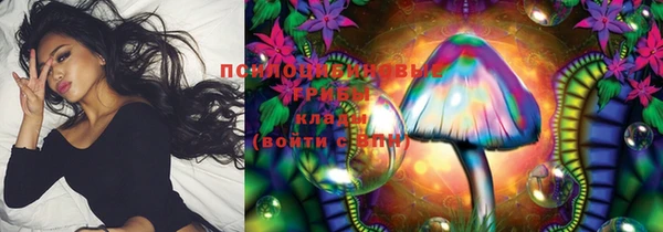 Альфа ПВП Мегион
