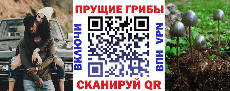 Галлюциногенные грибы GOLDEN TEACHER  закладки  Обоянь 