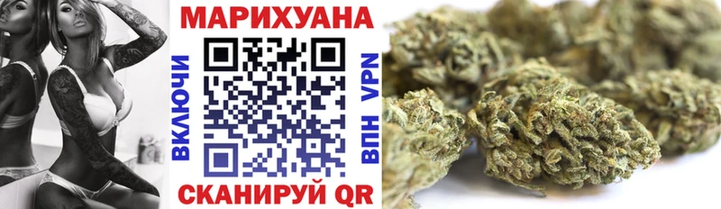 как найти   Обоянь  Каннабис SATIVA & INDICA 